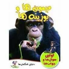 میمون ها و بوزینه ها (اولین سوال و جواب ها)
