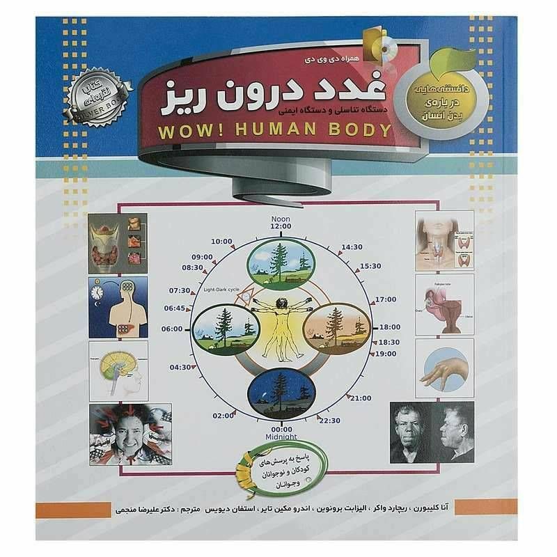 دانستنی هایی درباره بدن انسان غدد درون ریز